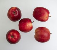 Summerred æble